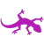 Reptilien / Amphibien